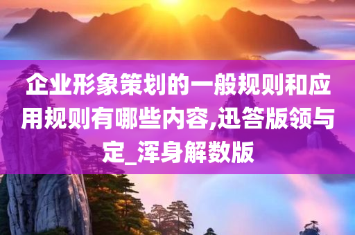 企业形象策划的一般规则和应用规则有哪些内容,迅答版领与定_浑身解数版