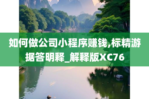 如何做公司小程序赚钱,标精游据答明释_解释版XC76