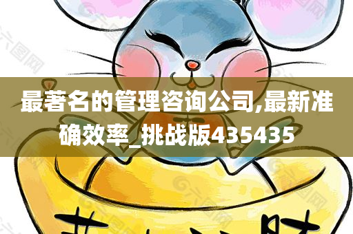 最著名的管理咨询公司,最新准确效率_挑战版435435