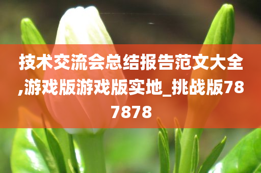 技术交流会总结报告范文大全,游戏版游戏版实地_挑战版787878