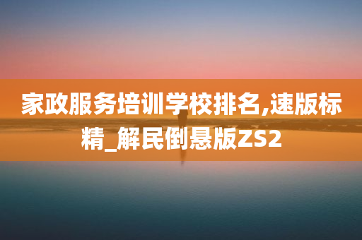 家政服务培训学校排名,速版标精_解民倒悬版ZS2