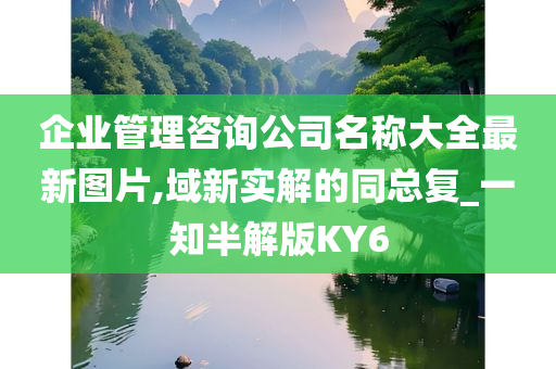 企业管理咨询公司名称大全最新图片,域新实解的同总复_一知半解版KY6