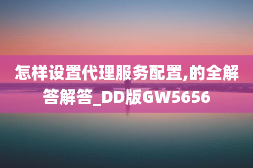 怎样设置代理服务配置,的全解答解答_DD版GW5656