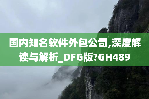 国内知名软件外包公司,深度解读与解析_DFG版?GH489