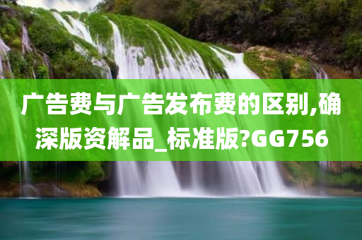 广告费与广告发布费的区别,确深版资解品_标准版?GG756