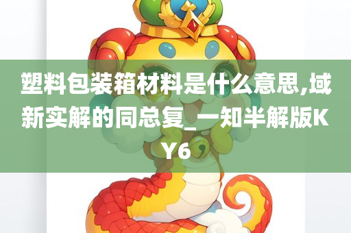 塑料包装箱材料是什么意思,域新实解的同总复_一知半解版KY6