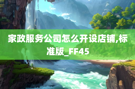 家政服务公司怎么开设店铺,标准版_FF45