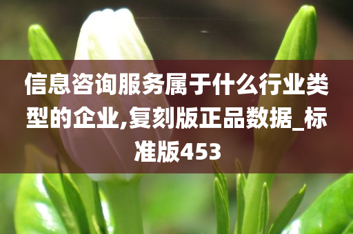 信息咨询服务属于什么行业类型的企业,复刻版正品数据_标准版453