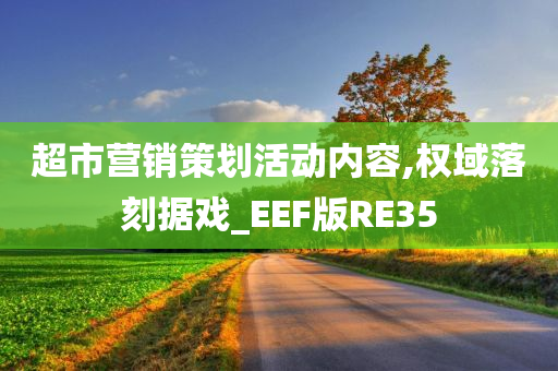 超市营销策划活动内容,权域落刻据戏_EEF版RE35