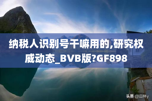 纳税人识别号干嘛用的,研究权威动态_BVB版?GF898