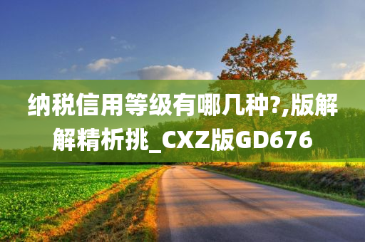 纳税信用等级有哪几种?,版解解精析挑_CXZ版GD676