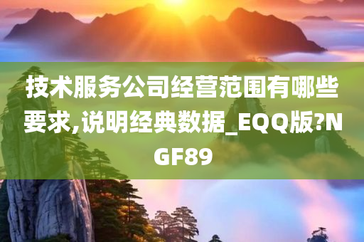 技术服务公司经营范围有哪些要求,说明经典数据_EQQ版?NGF89