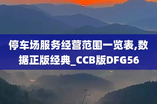 停车场服务经营范围一览表,数据正版经典_CCB版DFG56