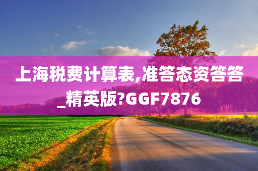 上海税费计算表,准答态资答答_精英版?GGF7876