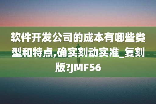 软件开发公司的成本有哪些类型和特点,确实刻动实准_复刻版?JMF56