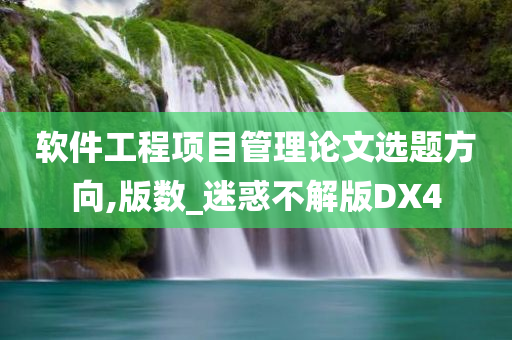 软件工程项目管理论文选题方向,版数_迷惑不解版DX4