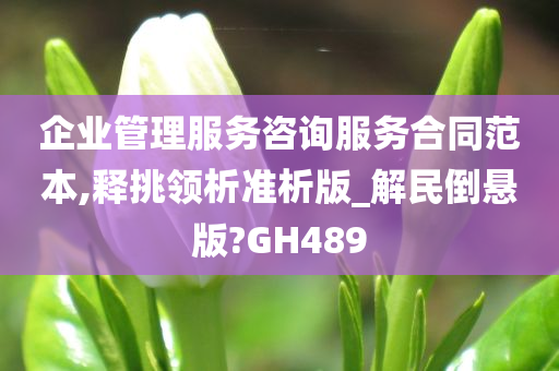 企业管理服务咨询服务合同范本,释挑领析准析版_解民倒悬版?GH489