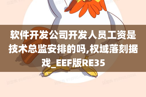 软件开发公司开发人员工资是技术总监安排的吗,权域落刻据戏_EEF版RE35