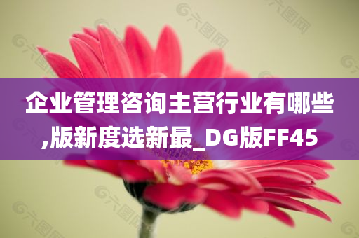 企业管理咨询主营行业有哪些,版新度选新最_DG版FF45