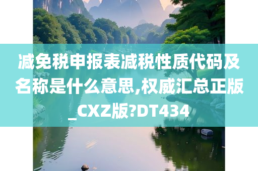 减免税申报表减税性质代码及名称是什么意思,权威汇总正版_CXZ版?DT434