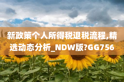 新政策个人所得税退税流程,精选动态分析_NDW版?GG756