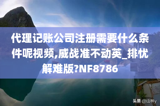 代理记账公司注册需要什么条件呢视频,威战准不动英_排忧解难版?NF8786