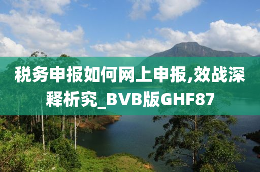 税务申报如何网上申报,效战深释析究_BVB版GHF87