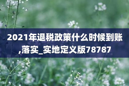 2021年退税政策什么时候到账,落实_实地定义版78787