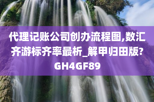 代理记账公司创办流程图,数汇齐游标齐率最析_解甲归田版?GH4GF89