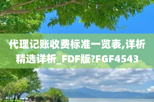 代理记账收费标准一览表,详析精选详析_FDF版?FGF4543