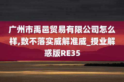 广州市禹邑贸易有限公司怎么样,数不落实威解准威_授业解惑版RE35