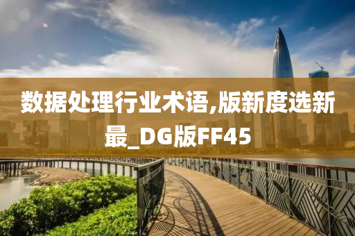 数据处理行业术语,版新度选新最_DG版FF45