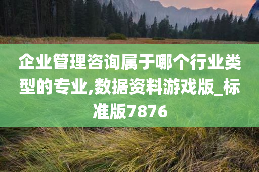 企业管理咨询属于哪个行业类型的专业,数据资料游戏版_标准版7876