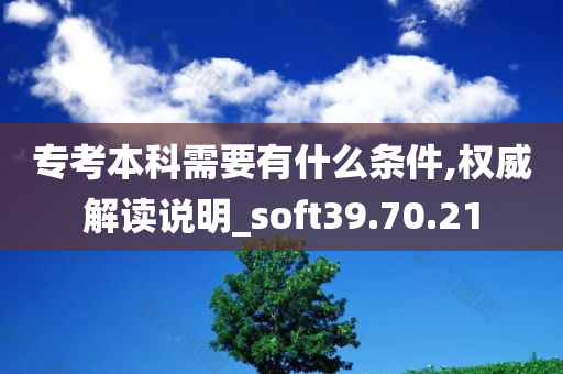 专考本科需要有什么条件,权威解读说明_soft39.70.21