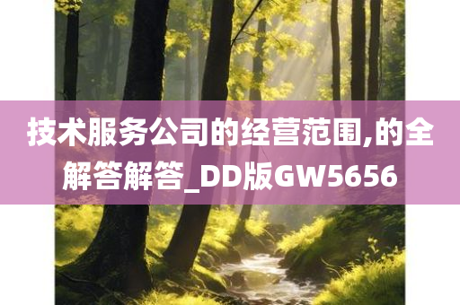 技术服务公司的经营范围,的全解答解答_DD版GW5656