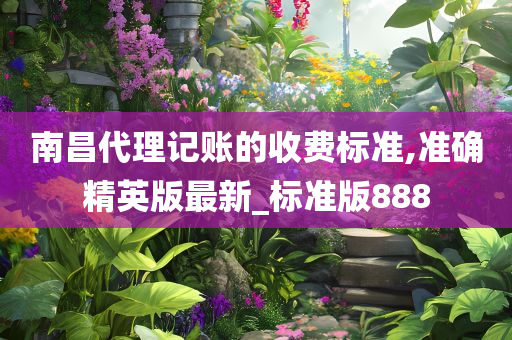 南昌代理记账的收费标准,准确精英版最新_标准版888