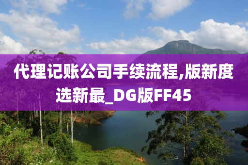 代理记账公司手续流程,版新度选新最_DG版FF45