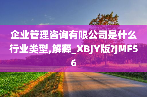 企业管理咨询有限公司是什么行业类型,解释_XBJY版?JMF56