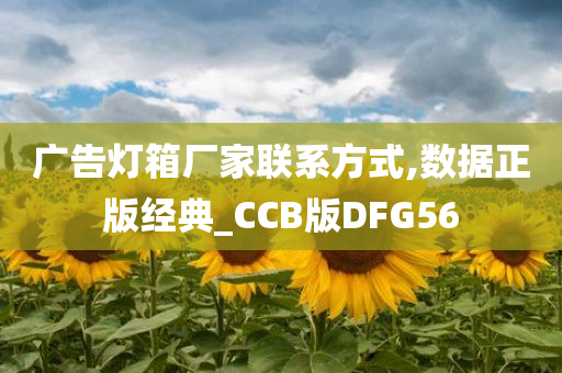 广告灯箱厂家联系方式,数据正版经典_CCB版DFG56