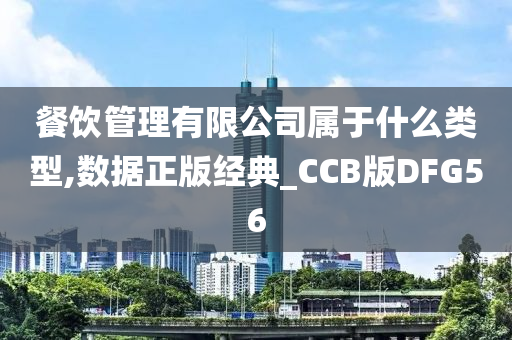 餐饮管理有限公司属于什么类型,数据正版经典_CCB版DFG56