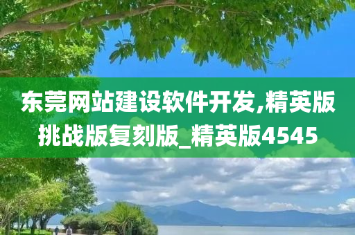 东莞网站建设软件开发,精英版挑战版复刻版_精英版4545