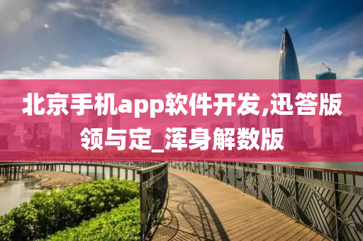 北京手机app软件开发,迅答版领与定_浑身解数版