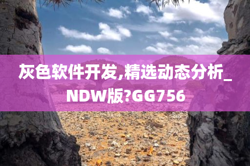 灰色软件开发,精选动态分析_NDW版?GG756