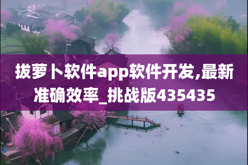 拔萝卜软件app软件开发,最新准确效率_挑战版435435