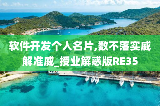 软件开发个人名片,数不落实威解准威_授业解惑版RE35