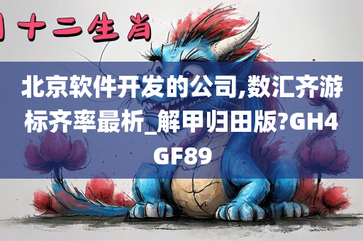 北京软件开发的公司,数汇齐游标齐率最析_解甲归田版?GH4GF89