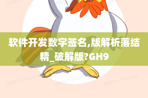 软件开发数字签名,版解析落结精_破解版?GH9