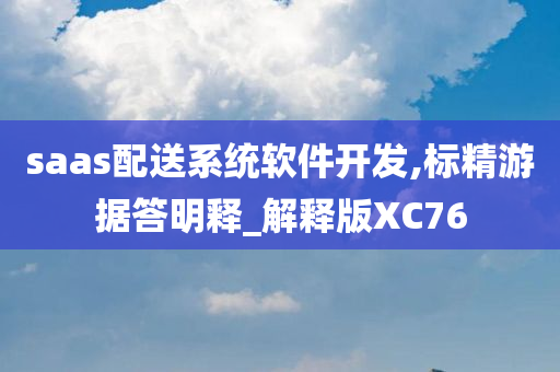 saas配送系统软件开发,标精游据答明释_解释版XC76