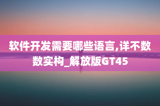 软件开发需要哪些语言,详不数数实构_解放版GT45