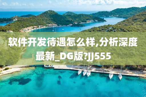 软件开发待遇怎么样,分析深度最新_DG版?JJ555